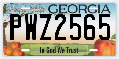 GA license plate PWZ2565