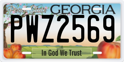 GA license plate PWZ2569