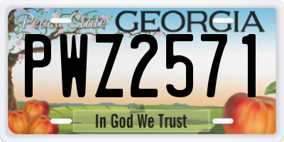 GA license plate PWZ2571