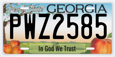 GA license plate PWZ2585