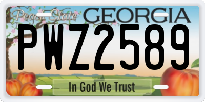 GA license plate PWZ2589