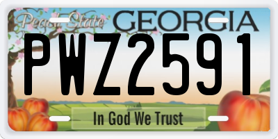 GA license plate PWZ2591