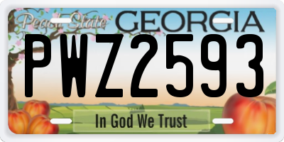 GA license plate PWZ2593