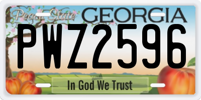 GA license plate PWZ2596