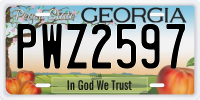 GA license plate PWZ2597