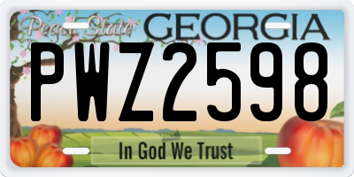 GA license plate PWZ2598