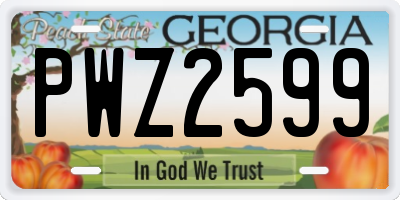 GA license plate PWZ2599