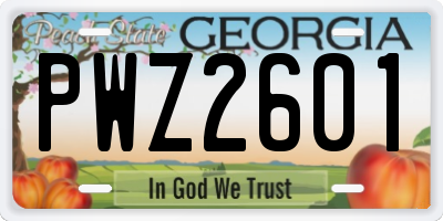 GA license plate PWZ2601