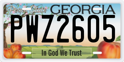 GA license plate PWZ2605