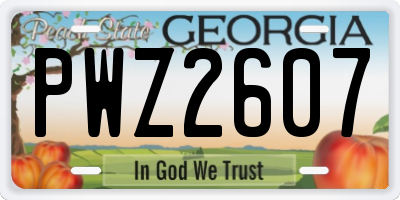 GA license plate PWZ2607