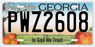 GA license plate PWZ2608