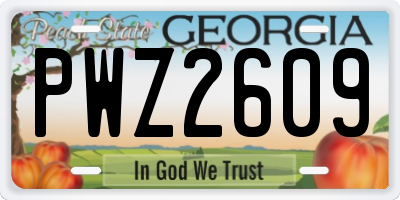GA license plate PWZ2609