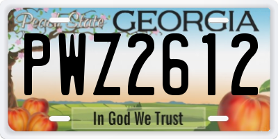 GA license plate PWZ2612