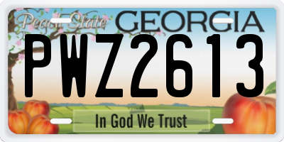 GA license plate PWZ2613
