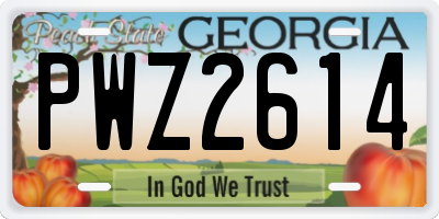 GA license plate PWZ2614