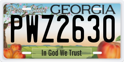 GA license plate PWZ2630