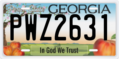 GA license plate PWZ2631