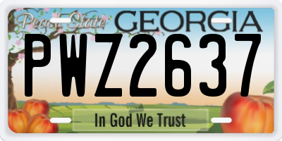 GA license plate PWZ2637