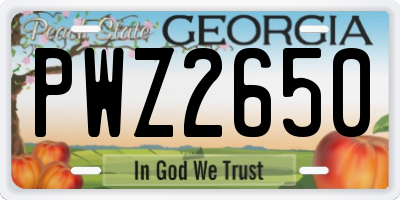 GA license plate PWZ2650