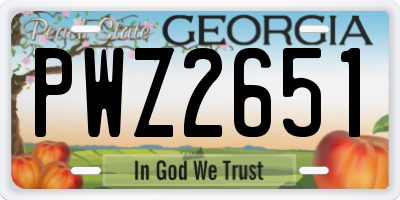 GA license plate PWZ2651