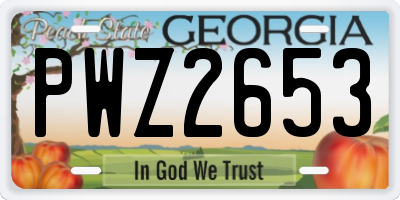 GA license plate PWZ2653