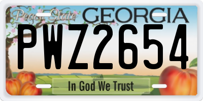 GA license plate PWZ2654