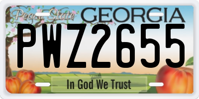 GA license plate PWZ2655