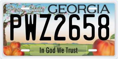 GA license plate PWZ2658
