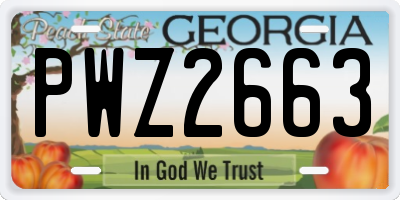 GA license plate PWZ2663