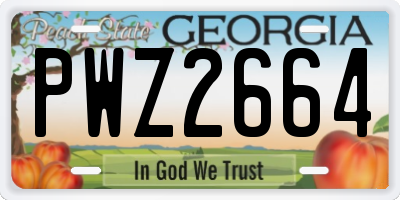 GA license plate PWZ2664