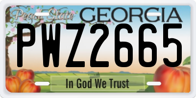 GA license plate PWZ2665