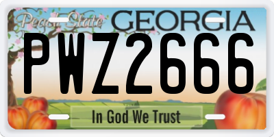 GA license plate PWZ2666