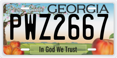 GA license plate PWZ2667