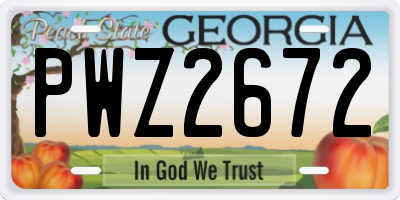 GA license plate PWZ2672