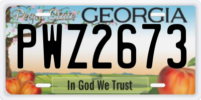 GA license plate PWZ2673