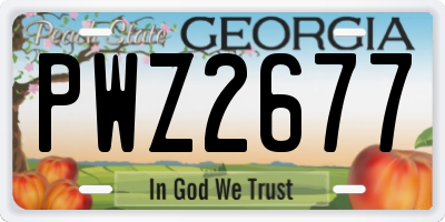 GA license plate PWZ2677