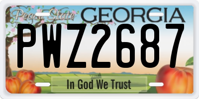 GA license plate PWZ2687