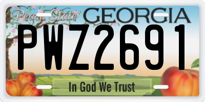 GA license plate PWZ2691