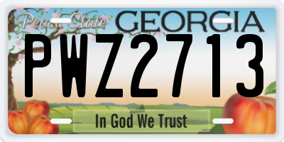 GA license plate PWZ2713