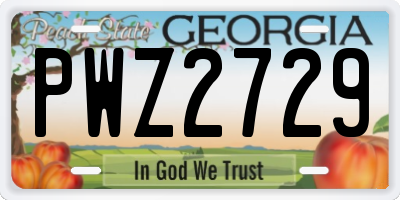 GA license plate PWZ2729