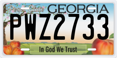 GA license plate PWZ2733