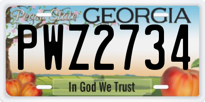 GA license plate PWZ2734