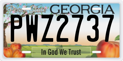 GA license plate PWZ2737