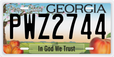 GA license plate PWZ2744