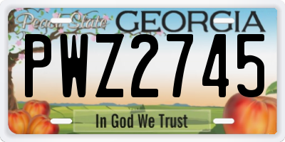 GA license plate PWZ2745