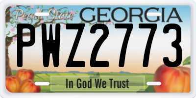 GA license plate PWZ2773