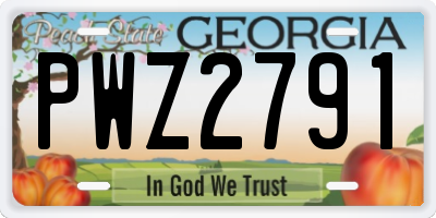 GA license plate PWZ2791