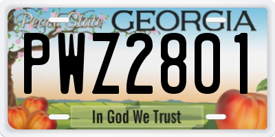 GA license plate PWZ2801
