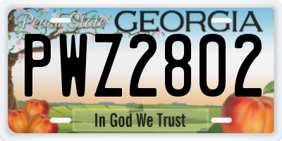 GA license plate PWZ2802