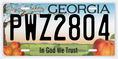 GA license plate PWZ2804